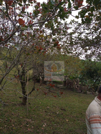 Imagem Fazenda à Venda, 72.000 m² em Padre André - Jacupiranga Imagem Fazenda à Venda, 72.000 m² em Padre André - Jacupiranga