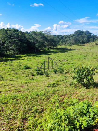 Imagem Chácara à Venda, em Petrolina De Goiás Imagem Chácara à Venda, em Petrolina De Goiás