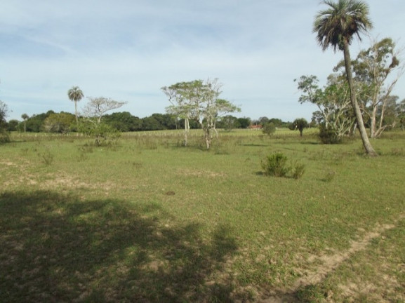 Imagem Chácara à Venda, 8 m² em águas Claras - Viamão Imagem Chácara à Venda, 8 m² em águas Claras - Viamão