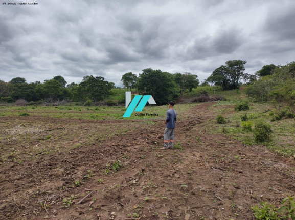 Imagem Fazenda à Venda, 82 m² em Zona Rural - Santo Hipólito Imagem Fazenda à Venda, 82 m² em Zona Rural - Santo Hipólito