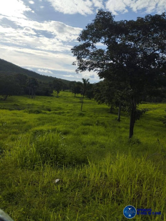 Imagem Fazenda à Venda, 253 m² em Zona Rural - Gurupi Imagem Fazenda à Venda, 253 m² em Zona Rural - Gurupi