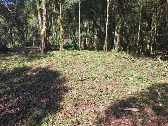 Imagem Imóvel à Venda, 20.000 m² em Santana - Bocaiuva Do Sul Imagem Imóvel à Venda, 20.000 m² em Santana - Bocaiuva Do Sul