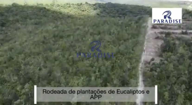Imagem Fazenda à Venda, 305.000 m² em Zona Rural - Entre Rios Imagem Fazenda à Venda, 305.000 m² em Zona Rural - Entre Rios