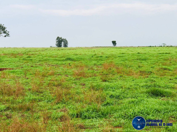 Imagem Chácara à Venda, 5 m² em Zona Rural - Itaberaí Imagem Chácara à Venda, 5 m² em Zona Rural - Itaberaí