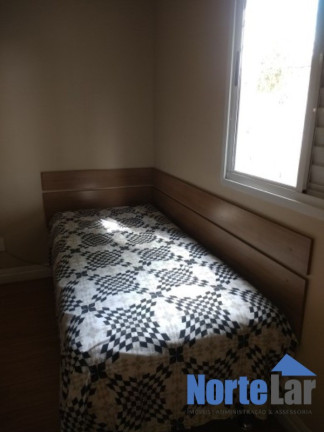 Imagem Apartamento com 3 Quartos à Venda, 65 m² em Vila Maria - São Paulo Imagem Apartamento com 3 Quartos à Venda, 65 m² em Vila Maria - São Paulo