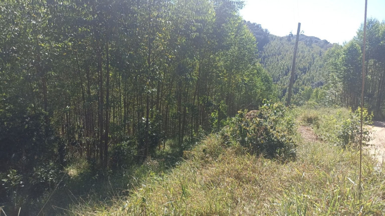 Imagem Chácara com 1 Quarto à Venda, 200 m² em Mirandão - Paraibuna
