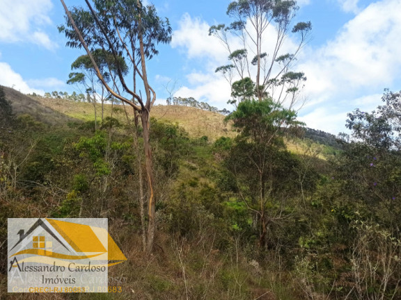 Imagem Terreno à Venda, 20.000 m² em Rio Grande De Cima - Nova Friburgo Imagem Terreno à Venda, 20.000 m² em Rio Grande De Cima - Nova Friburgo