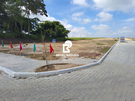 Imagem Terreno à Venda, 8 m² em Centro - São Francisco De Itabapoana Imagem Terreno à Venda, 8 m² em Centro - São Francisco De Itabapoana