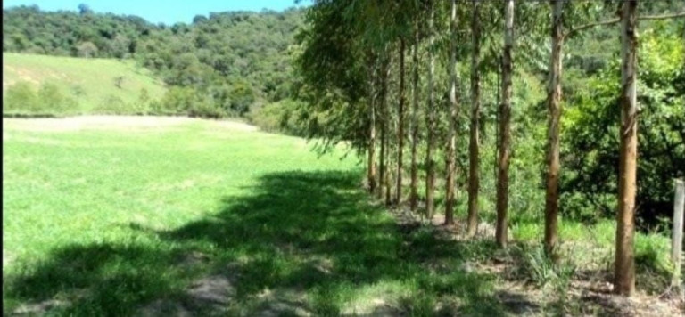 Imagem Fazenda à Venda, 300 m² em Centro - Guaratinguetá Imagem Fazenda à Venda, 300 m² em Centro - Guaratinguetá