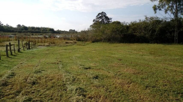 Imagem Chácara à Venda, 5.536 m² em águas Claras - Viamão