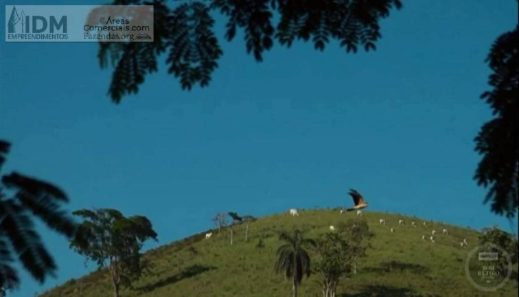 Imagem Chácara à Venda, 796.100 m² em Centro - Bananal Imagem Chácara à Venda, 796.100 m² em Centro - Bananal