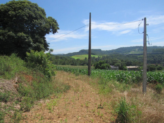 Imagem Terreno à Venda, 90.000 m² em Rural - Concórdia Imagem Terreno à Venda, 90.000 m² em Rural - Concórdia