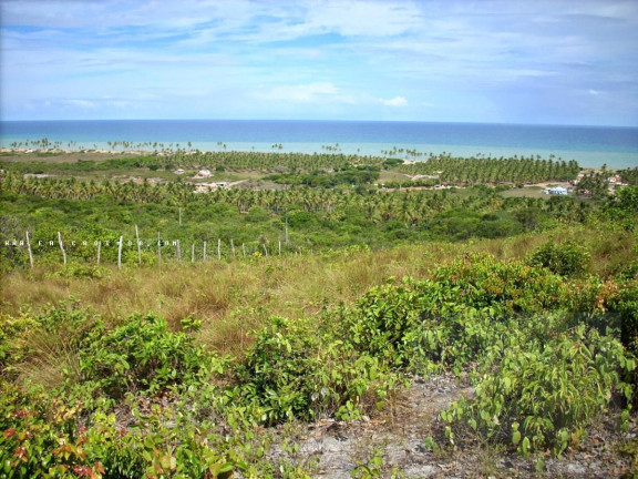 Imagem Terreno à Venda, 140 m² em São Cristóvão - Salvador