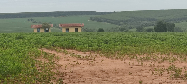 Imagem Chácara com 3 Quartos à Venda, 774 m² em Zona Rural - Alambari Imagem Chácara com 3 Quartos à Venda, 774 m² em Zona Rural - Alambari