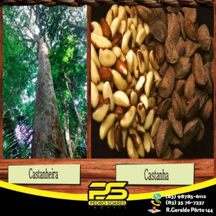 Imagem Fazenda à Venda, 150 m² em Centro - Rio Branco Imagem Fazenda à Venda, 150 m² em Centro - Rio Branco