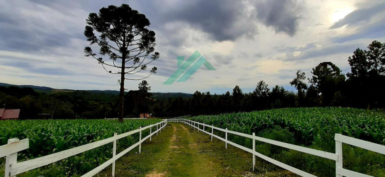 Chácara com 2 Quartos à Venda, 60 m² em Serra Do Araçatuba - Tijucas Do Sul