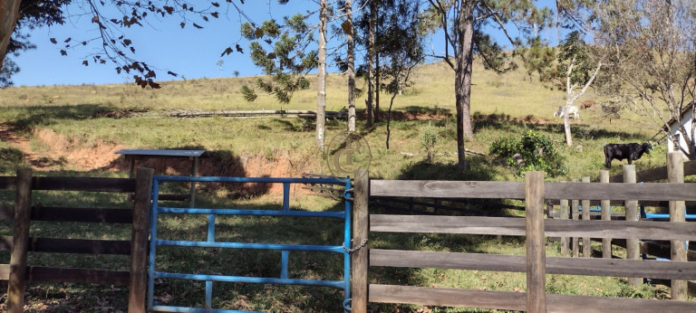 Imagem Chácara com 3 Quartos à Venda, em Curralinho - Lagoinha Imagem Chácara com 3 Quartos à Venda, em Curralinho - Lagoinha