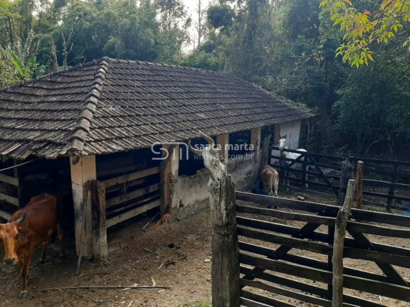 Imagem Imóvel com 2 Quartos à Venda, 1 m² em Bairro São José Do Retiro - Bananal Imagem Imóvel com 2 Quartos à Venda, 1 m² em Bairro São José Do Retiro - Bananal