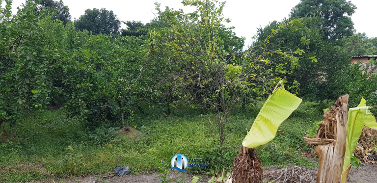 Imagem Imóvel com 2 Quartos à Venda, 100 m² em Capivari - Duque De Caxias
