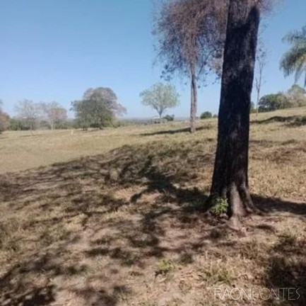 Imagem Fazenda à Venda, 2.032.800 m² em Zona Rural - Guaraci Imagem Fazenda à Venda, 2.032.800 m² em Zona Rural - Guaraci