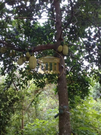 Imagem Casa com 2 Quartos à Venda, 360 m² em água Preta - Pindamonhangaba Imagem Casa com 2 Quartos à Venda, 360 m² em água Preta - Pindamonhangaba