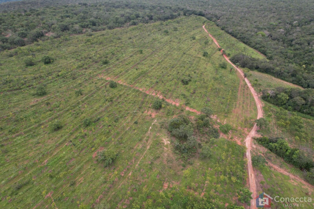 Imagem Imóvel à Venda, 41.000 m² em Centro - Presidente Olegário Imagem Imóvel à Venda, 41.000 m² em Centro - Presidente Olegário