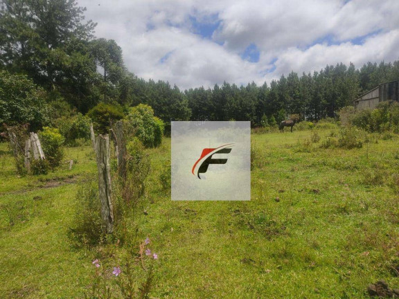 Imagem Terreno à Venda, 44.162 m² em Lapa - Mariental Imagem Terreno à Venda, 44.162 m² em Lapa - Mariental