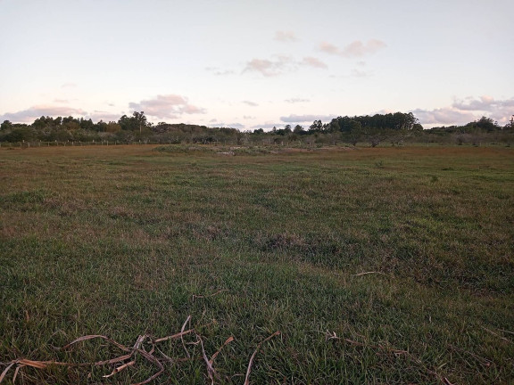 Imagem Chácara com 2 Quartos à Venda, 20.000 m² em águas Claras - Viamão