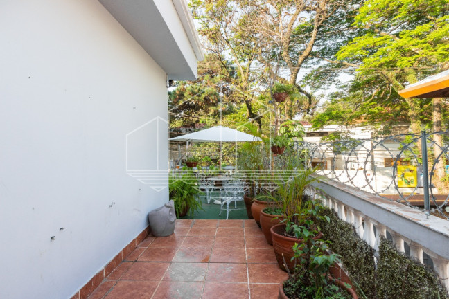Imagem Casa com 3 Quartos à Venda, 332 m² em Jardim Europa - São Paulo