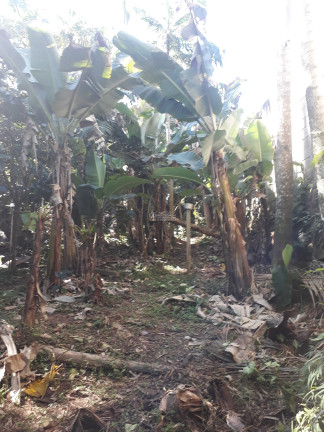 Imagem Imóvel com 3 Quartos à Venda,  em Centro - São João Batista