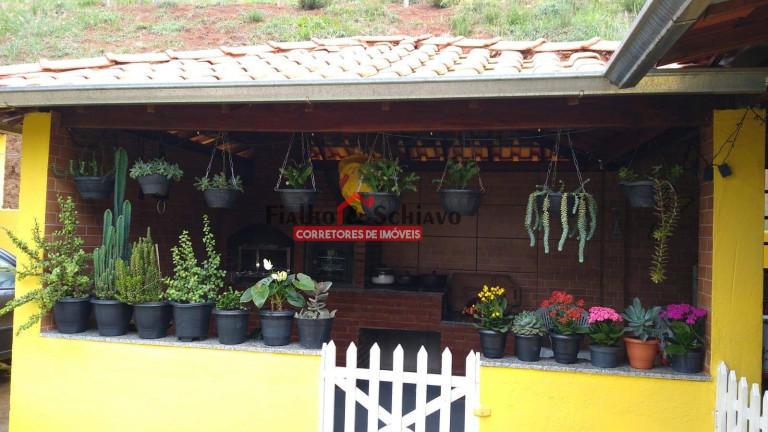Imagem Chácara com 4 Quartos à Venda, 2 m² em Cachoeirinha - Viçosa Imagem Chácara com 4 Quartos à Venda, 2 m² em Cachoeirinha - Viçosa