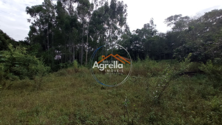 Imagem Imóvel com 3 Quartos à Venda, 25.000 m² em Jardim Primavera - Mogi Mirim Imagem Imóvel com 3 Quartos à Venda, 25.000 m² em Jardim Primavera - Mogi Mirim