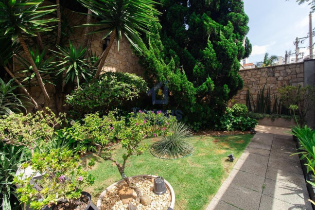 Imagem Casa com 3 Quartos à Venda, 380 m² em Jardim Avelino - São Paulo Imagem Casa com 3 Quartos à Venda, 380 m² em Jardim Avelino - São Paulo