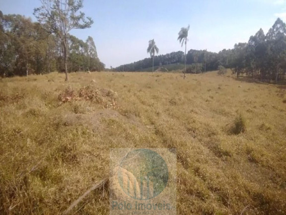 Imagem Imóvel com 4 Quartos à Venda, 540.628 m² em Zona Rural - Biguatinga