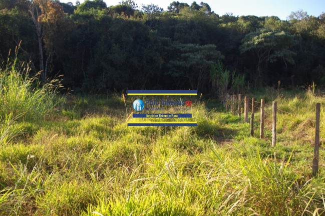 Imagem Imóvel com 1 Quarto à Venda, 19.700 m² em Campestre - Muzambinho Imagem Imóvel com 1 Quarto à Venda, 19.700 m² em Campestre - Muzambinho