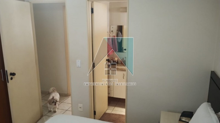Imagem Apartamento com 3 Quartos à Venda, 80 m² em Alto Da Boa Vista - Ribeirão Preto Imagem Apartamento com 3 Quartos à Venda, 80 m² em Alto Da Boa Vista - Ribeirão Preto
