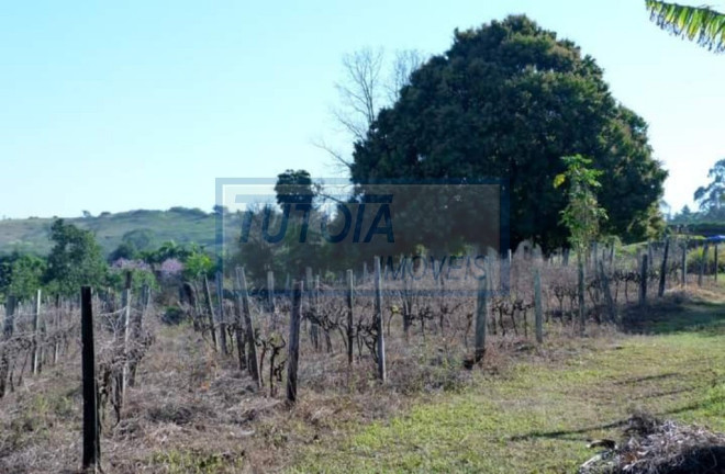 Imagem Imóvel com 5 Quartos à Venda, 900 m² em Santa Eliza - Itupeva Imagem Imóvel com 5 Quartos à Venda, 900 m² em Santa Eliza - Itupeva