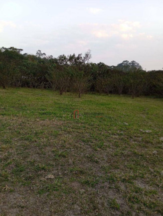 Imagem Imóvel à Venda, 33.000 m² em Jardim Cambiri - Ferraz De Vasconcelos Imagem Imóvel à Venda, 33.000 m² em Jardim Cambiri - Ferraz De Vasconcelos