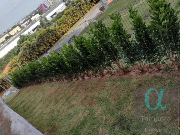 Imagem Casa com 5 Quartos à Venda, 450 m² em Tamboré - Barueri Imagem Casa com 5 Quartos à Venda, 450 m² em Tamboré - Barueri