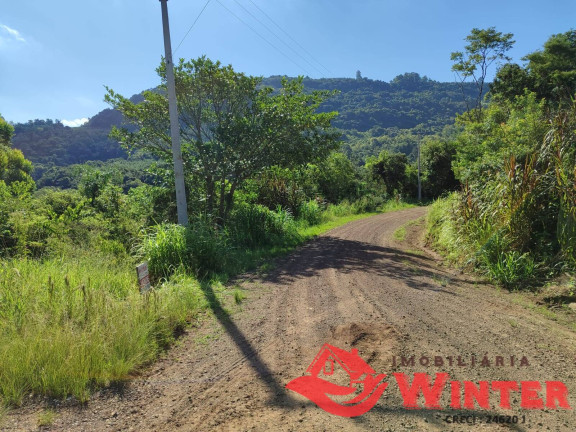 Imagem Chácara à Venda, 5 m² em Canto Lippert - Linha Nova Imagem Chácara à Venda, 5 m² em Canto Lippert - Linha Nova