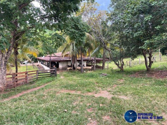 Imagem Fazenda à Venda, 33 m² em Zona Rural - Goiás Imagem Fazenda à Venda, 33 m² em Zona Rural - Goiás