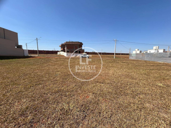 Imagem Terreno em Condomínio à Venda, 250 m² em Top Do Parque - Senador Canedo Imagem Terreno em Condomínio à Venda, 250 m² em Top Do Parque - Senador Canedo