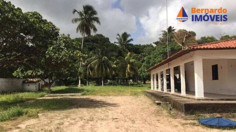 Imagem Chácara com 3 Quartos à Venda, 9 m² em Tijucussú - Cascavel Imagem Chácara com 3 Quartos à Venda, 9 m² em Tijucussú - Cascavel