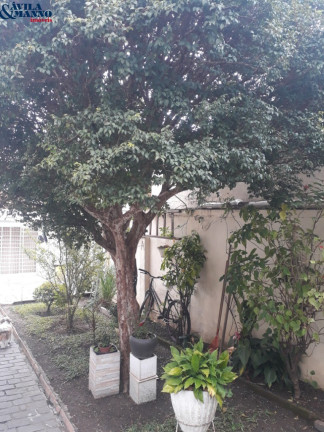 Imagem Casa com 3 Quartos à Venda, em Vila Prudente - São Paulo Imagem Casa com 3 Quartos à Venda, em Vila Prudente - São Paulo