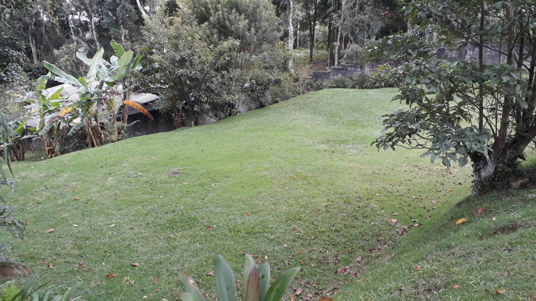 Imagem Chácara com 4 Quartos à Venda, 3 m² em Alto Da Serra (mailasqui) - São Roque