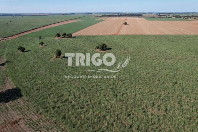 Imagem Fazenda à Venda, 115 m² em Zona Rural - Quirinópolis Imagem Fazenda à Venda, 115 m² em Zona Rural - Quirinópolis