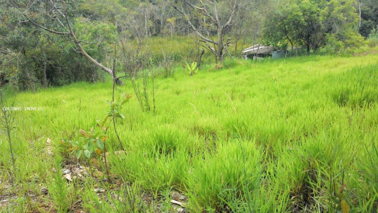 Imagem Terreno à Venda, em Antes Do Centro - Ibiúna Imagem Terreno à Venda, em Antes Do Centro - Ibiúna