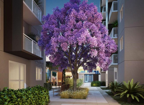 Imagem Apartamento com 2 Quartos à Venda, 40 m² em Cursino - São Paulo