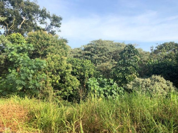 Imagem Terreno à Venda, 674 m² em Chácara Moinho Velho - Carapicuíba Imagem Terreno à Venda, 674 m² em Chácara Moinho Velho - Carapicuíba