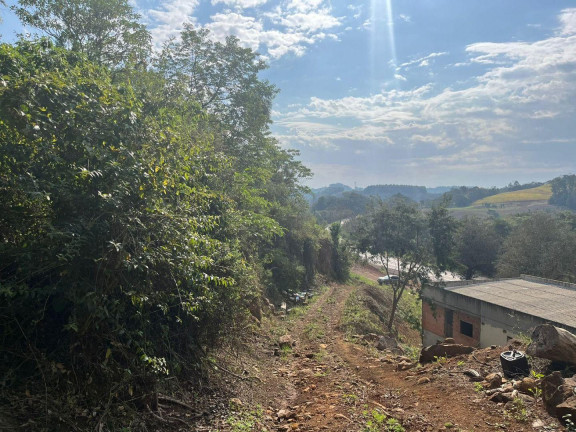 Imagem Terreno à Venda, 30.000 m² em Rural - Concórdia Imagem Terreno à Venda, 30.000 m² em Rural - Concórdia